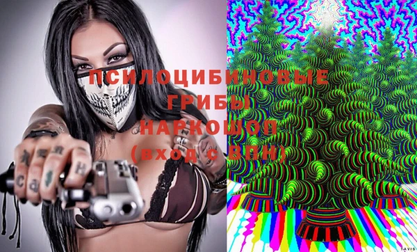 Альфа ПВП Алексин