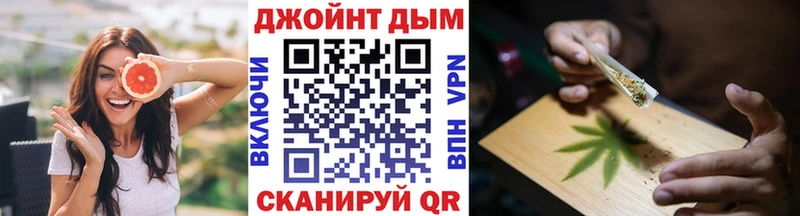 MEGA tor  Пугачёв  Бошки Шишки план 